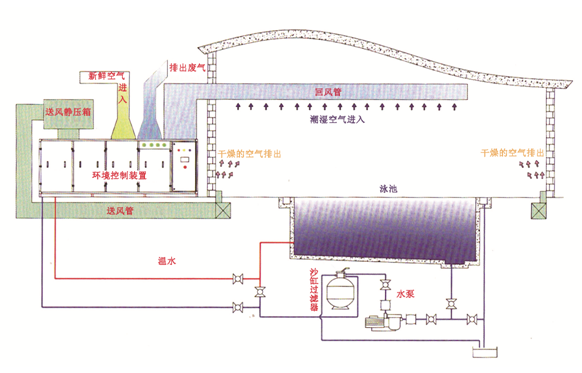 瀚宇水處理：如果做好這些，奧運泳池怎么會“綠”?